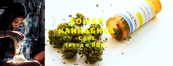 сатива Дмитровск