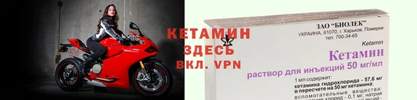 сатива Дмитровск