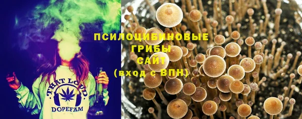2c-b Дмитров