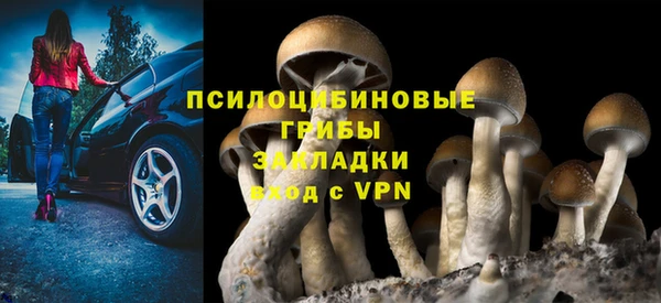 дурь Усмань