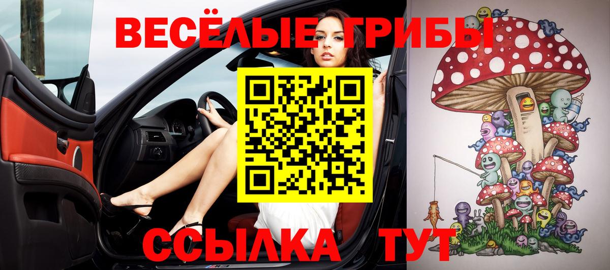 Псилоцибиновые грибы Psilocybine cubensis Назарово