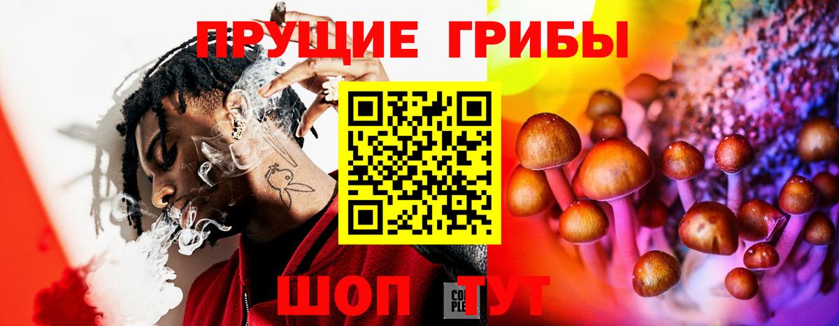 Псилоцибиновые грибы GOLDEN TEACHER  Псилоцибиновые грибы ЛСД  Вход с VPN  Назарово 